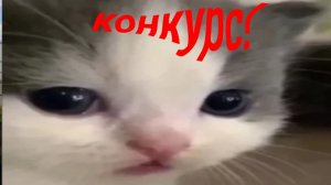 делайте мне арты для видео (те кто будут делать арты напишите в комментах)