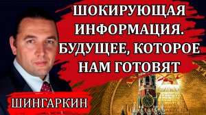 Интервенция и геноцид. Управленческий коллапс. Готовящийся переворот / Максим Шингаркин