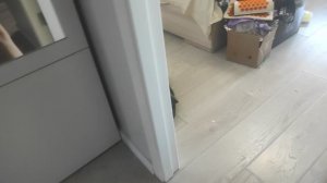 Влог Гена заболел 😷 ☹️