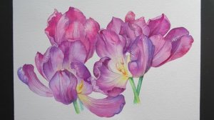 АКВАРЕЛЬНЫЕ ТЮЛЬПАНЫ 🌷 Мастер-класс по рисованию весенних цветов