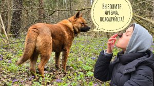 Ушли с Машей синий лес смотреть, а пришли к тётьВере в деревню! Вот Артём на нас матом смотрел!