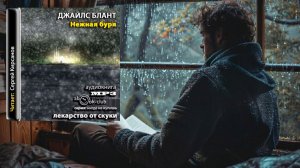 Аудиокнига: Нежная буря