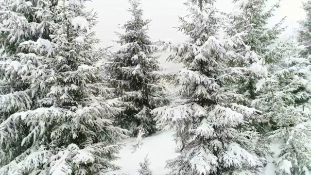December never forgets” – EUROZIA