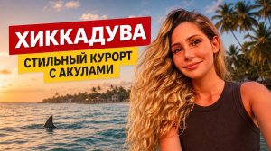 ХИККАДУВА. Стильный курорт с акулами (20 мин)