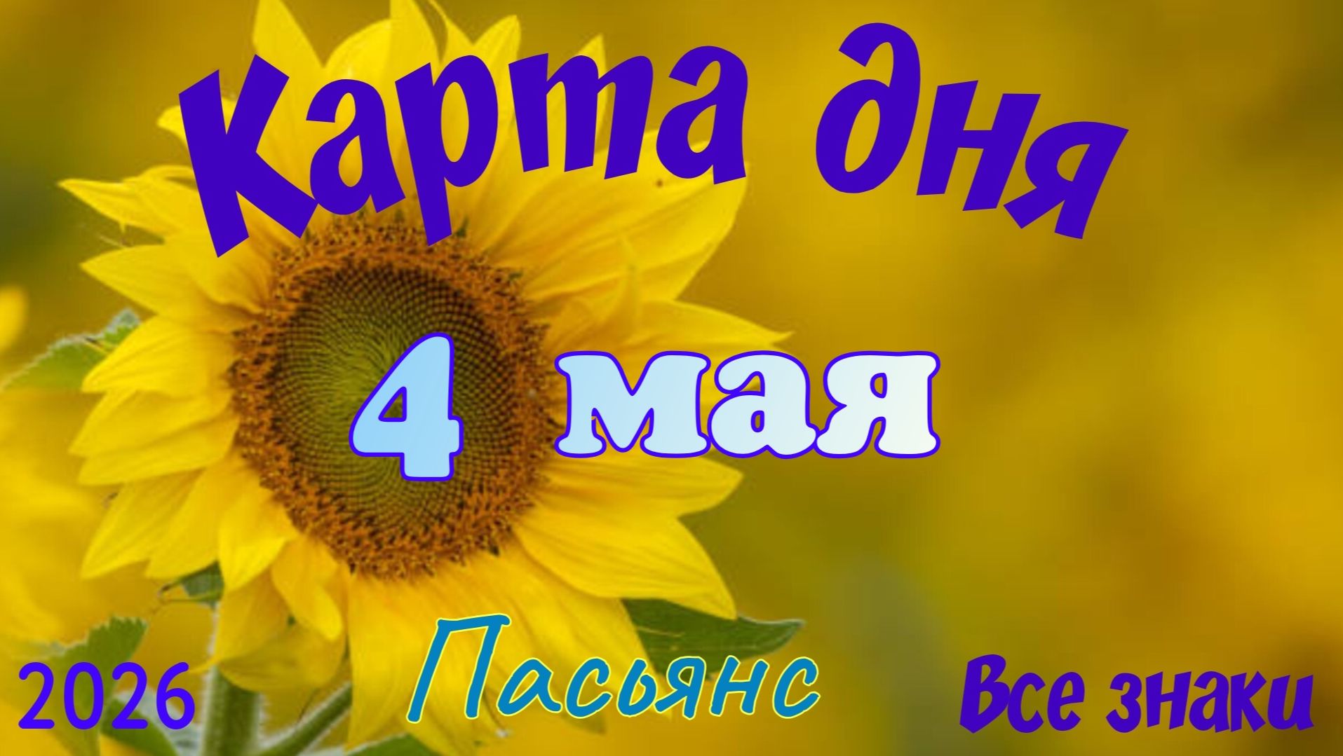 Карта дня🎁 4 мая 🌞💐Пасьянс. Тайм-код в описании 🦢