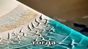декстер