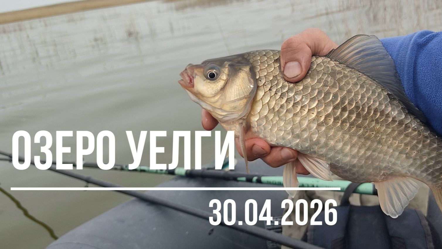 Карась на поплавок. Рыбалка на поплавок весной. Озеро Уелги, 30.04.2026 смотреть онлайн