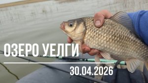 Карась на поплавок. Рыбалка на поплавок весной. Озеро Уелги, 30.04.2026
