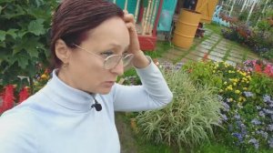 Видео привет с 6 соток 9 сентября 2021 год