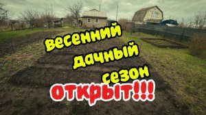 Сезон 2026 года на даче, посадил газон,купил циркулярку и тут же сломал ее))))