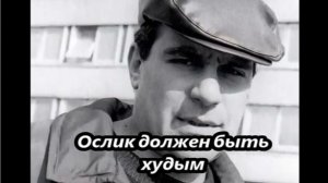 С. Довлатов_Ослик должен быть худым