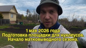 1 мая 2026 г. Подготовка площадки для нуклеусов. Начало матковыводного сезона.