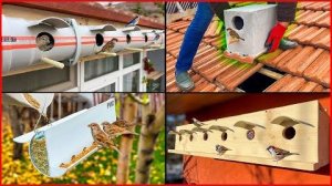 5 Sıradışı Kuş Yuvası ve besleyici Yapımı