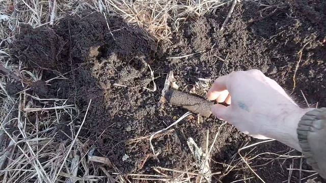 В поисках старины. Коп 2026 года смотреть онлайн