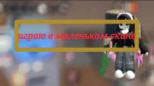 Играю в маленьком скине