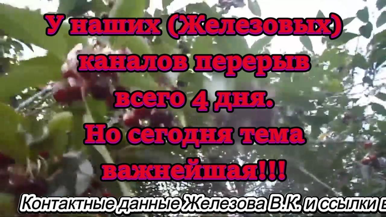 У наших (Железовых) каналов перерыв всего 4 дня. Но сегодня тема важнейшая!!!