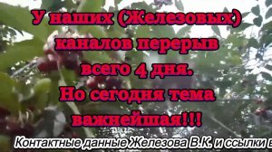 У наших (Железовых) каналов перерыв всего 4 дня. Но сегодня тема важнейшая!!!