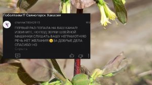 Никто не держу. Не нравится не насилуйте себя.