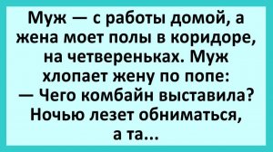 Жена моет полы в коридоре, на четвереньках. Муж хлопает жену по попе... | Анекдоты смешные | Юмор
