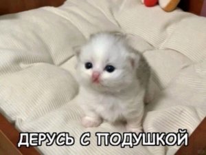 хавчик 😋😋