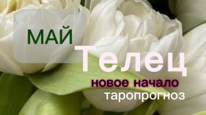 Телец♉️Ваш май 2026
