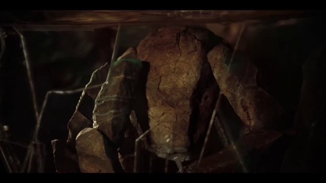 Проект «Конец света» (2026) смотреть онлайн