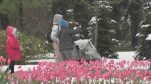 Майская погода подарила  ставропольцам красивый зимний пейзаж