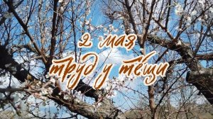 2 Мая Труд у тёщи.