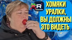 Ольга Уралочка live _Хомяки Уралки, вы должны это видеть _Обзор _Уралочка обзоры