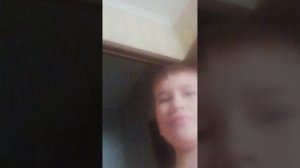 Мои попугайчики