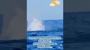 YouCut_20260502_140014528.mp4