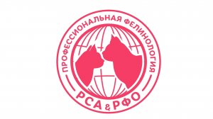 Выставки кошек - статус мероприятий