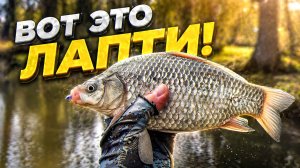 ЖИРНЫЕ КАРАСИ ГНУТ СПИННИНГ в БУБЛИК 🔥 ОТКРЫТИЕ СЕЗОНА МОРМО РЫБАЛКИ на КАРАСЯ 🐟