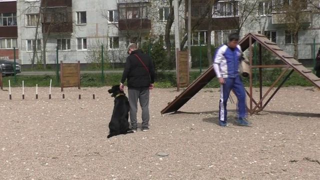 ПРК_Рейган Рей смотреть онлайн