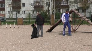 ПРК_Рейган Рей