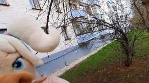 1 серия Барбоскины. деревня. ходьба по лесу