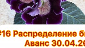 #16 Распределение бюджета. Аванс. 30.04.26