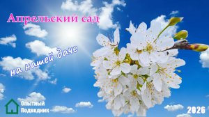ОПЫТНЫЙ ПОДВОДНИК_Апрель 2026