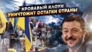 Демобилизация по-киевски: откопают только через 100 лет. Зеленский готовит братские могилы