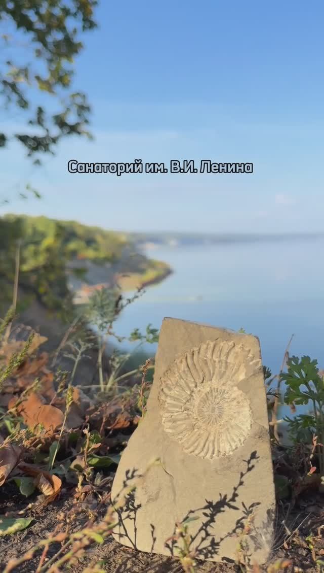 Ундоры родина динозавров