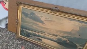 Элла Австралия Я в ШоКе Нашли чемодан на улице А ТАААМ Не свалка а антикварный магазин