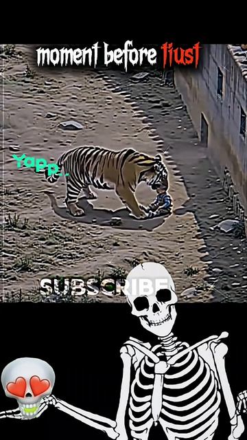 Лев 🦁 нападает на ребёнка страшно 😨 ты знаешь кому отправить 👇