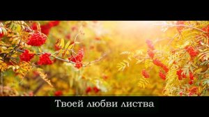 Моя любовь жива. ВИА «Синяя птица«_ КАВЕР  _ Гитара _ Aria AK-45 _ 20.03.2026.