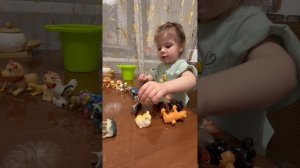 Животные для Вики