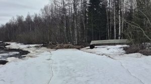 1и 2 мая Природа, река как она есть