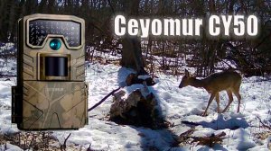 Проверка ФОТОЛОВУШКИ Ceyomur CY50 на солонце