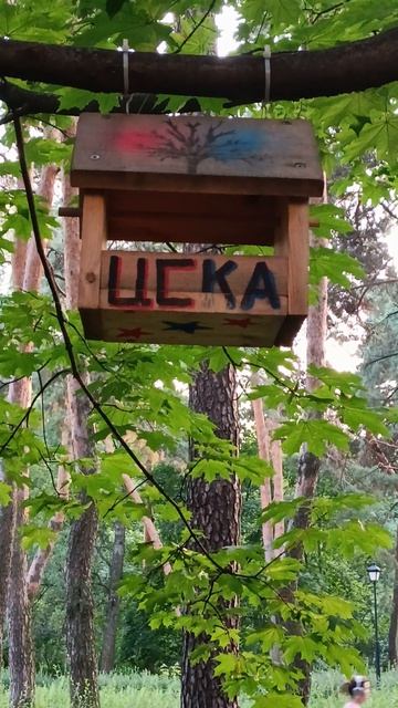ЦСКА