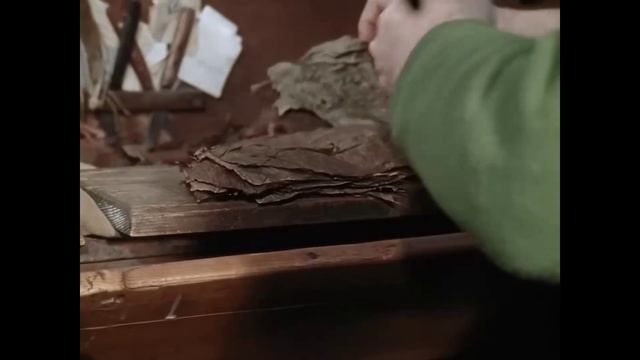 Ремесло последнего производителя сигар