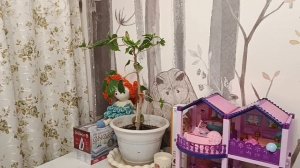 ПРИВЕЗЛИ МОТОБЛОК 👋ЗЯТЬ КЛЕИТ ОБОИ/КУПИЛИ НАСОСНУЮ СТАНЦИЮ. .