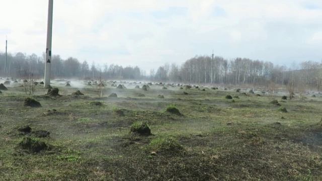 Земля парит - 1 мая 2019 г.